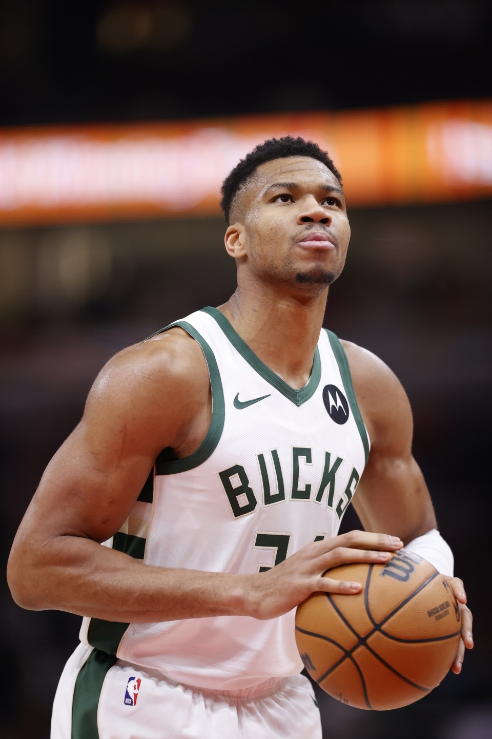 森尼尔对 森尼尔对